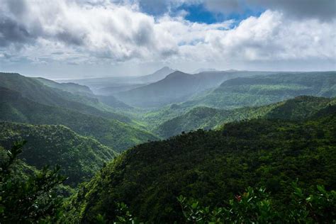 Wildlife of Mauritius in 2024