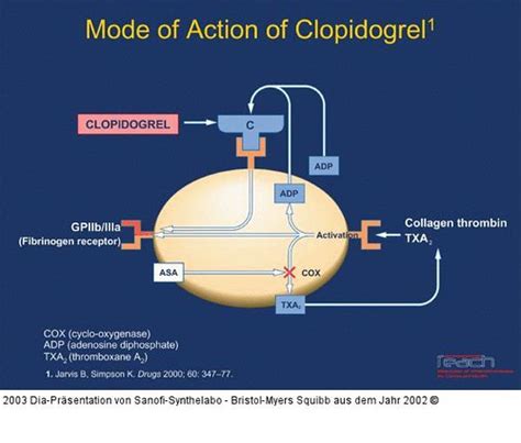 Clopidogrel | Abbildung 4: Mode of action of clopidogrel | dokidok | Flickr