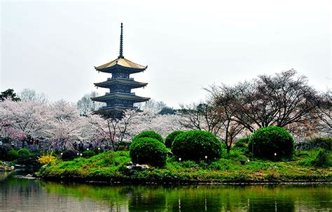 Top Ten Places to See Cherry Blossoms in China this Spring