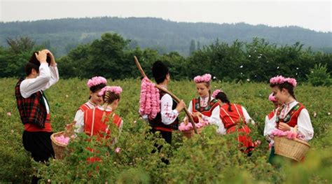 Rose Festival – Guide | Bulgaria Guide