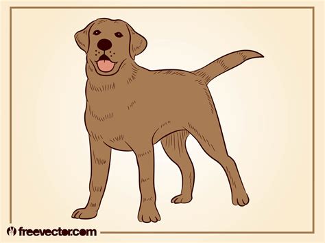 Dog Illustration Vector Art & Graphics | freevector.com