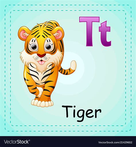 Animals alphabet t is for tiger Royalty Free Vector Image