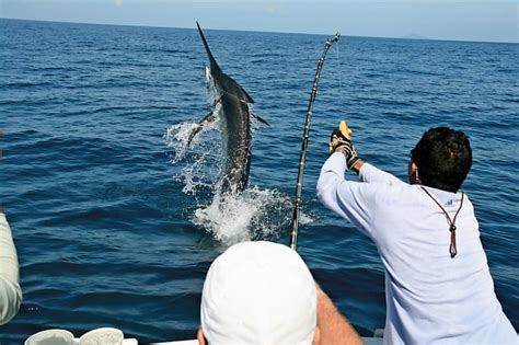 Cabo Fishing Charters - Fishing in Cabo San Lucas - Cabo Golf Deals