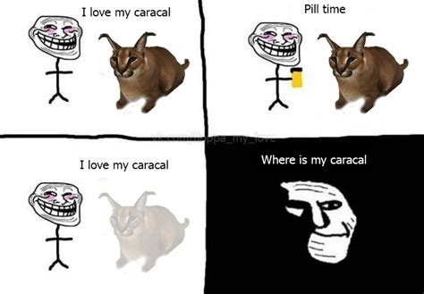 I Love My Caracal | I Love My Wife / Pill Time | Know Your Meme