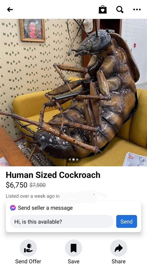 Human Sized Cockroach on FB marketplace : r/WTFgaragesale