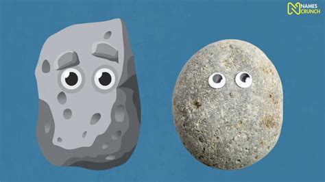 Funny Pet Rock Names [220+ Unique Ideas] - Names Crunch