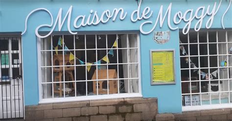 Covid Scotland: Edinburgh cat cafe Maison de Moggy closes due to 'close contact' - Edinburgh Live