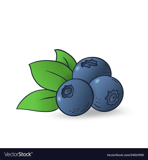 Hand drawn blueberry Royalty Free Vector Image