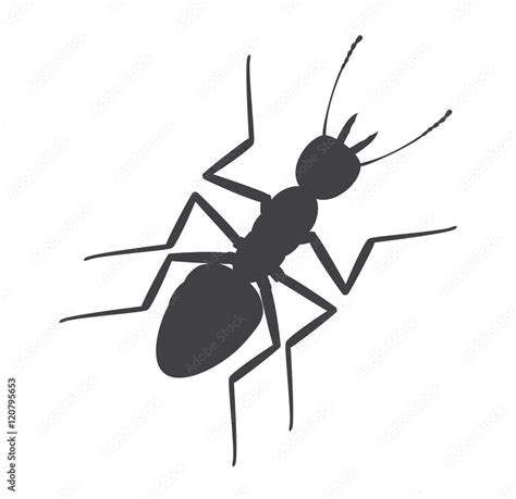 Ant Silhouette Stock Vector | Adobe Stock