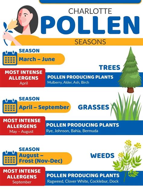 When Will Pollen Season End 2025 - Robin Christin