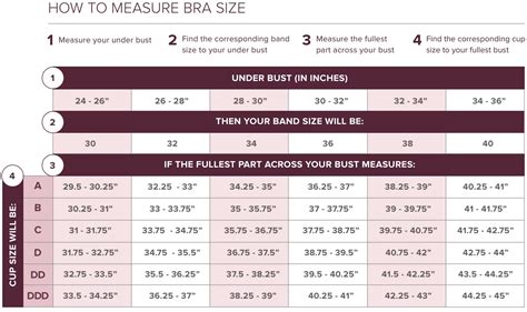 Correct Bra Size Calculator