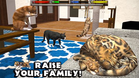 Ultimate Cat Simulator - Android Apps on Google Play