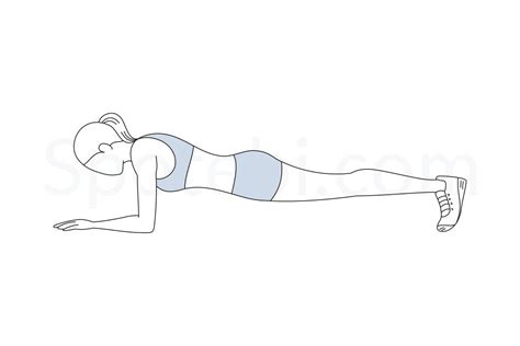 Plank | Exercises, Calories burned and Workout