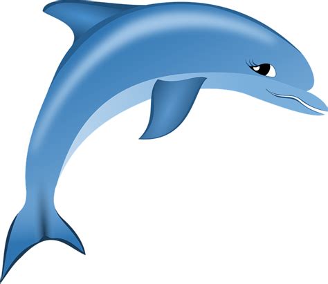 Dolphins clipart bottlenose dolphin, Dolphins bottlenose dolphin Transparent FREE for download ...