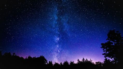 Silhouette of trees under clear sky at nighttime, space, stars, nebula ...