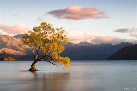 Lake Wanaka Wallpaper download - Lake Wanaka HD Wallpaper - Appraw