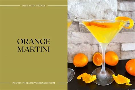 35 Citrus Vodka Cocktails to Sip and Savor All Summer Long | DineWithDrinks