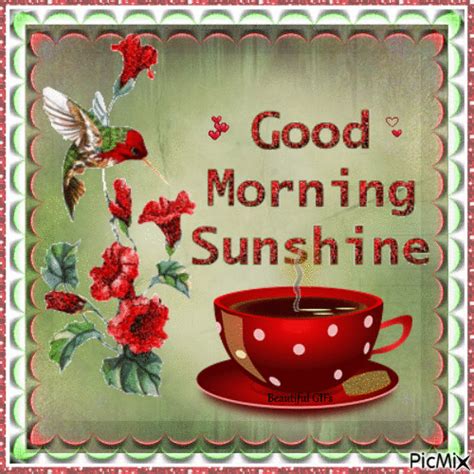 Good Morning Sunshine Gif | Good morning sunshine, Good morning, Tuesday greetings