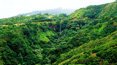 Hawaii, Maui, Tropical forest, Tropics, Palm trees, Beach Wallpapers HD / Desktop and Mobile ...