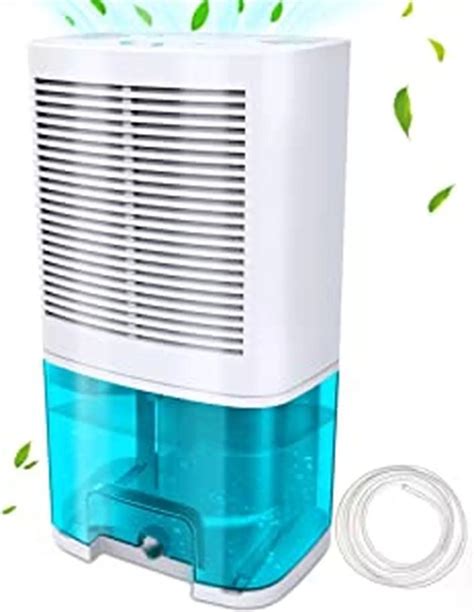 When to Use a Humidifier vs. a Dehumidifier — And How to Choose One | Hunker