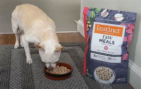 Instinct Raw Dog Food - Pet Food Guide