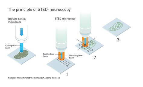 Super-resolved fluorescence microscopy pioneers awarded 2014 Nobel ...