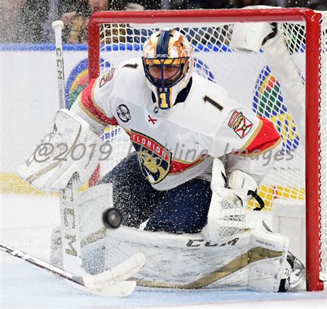 Roberto Luongo - Stats, Contract, Salary & More