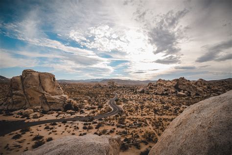 Joshua-Tree-Rock-Climbing-14 - The Sweetest Way