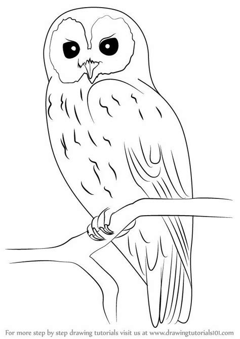 Pin on Owl sketches | Owls drawing, Owl drawing simple, Art drawings