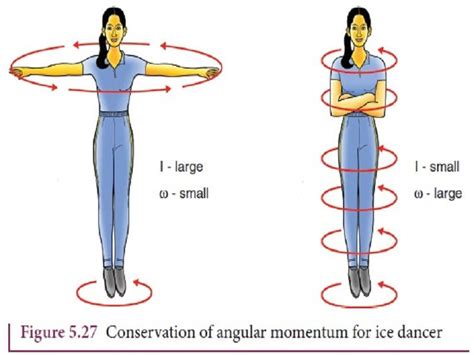 17 Conservation of Momentum Examples in Real Life – StudiousGuy