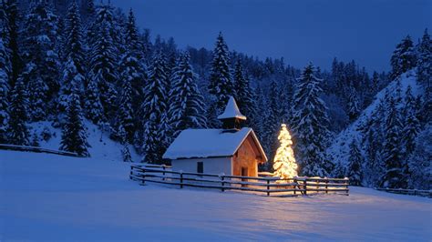 Wallpaper : lights, night, snow, winter, house, evening, Christmas Tree, pine trees, fir ...