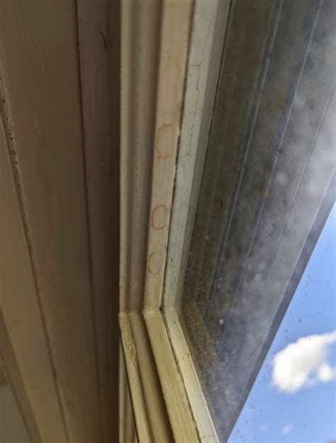 Advice for painting these old windows? | DIY Home Improvement Forum