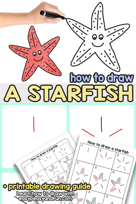 How to Draw a Starfish – Step by Step Drawing Tutorial - Easy Peasy and Fun