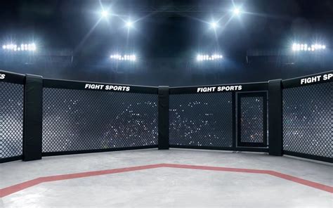 Ufc Octagon Empty