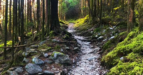 Gatlinburg Hiking Trails in the Great Smoky Mountains