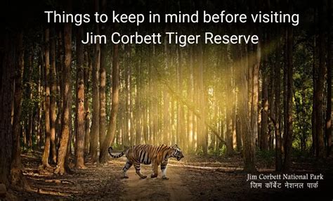 Things to keep in mind before visiting Jim Corbett National Park