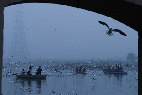 Yamuna Clean-up, Removal of Landfill Garbage Key Focus of Delhi Budget ...