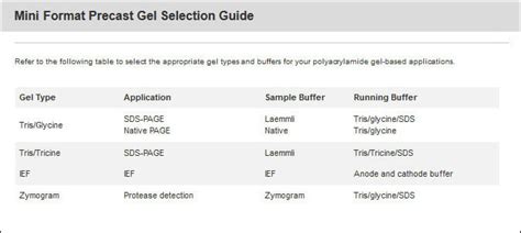 10 Sds Page Gel Recipe | Bryont Blog