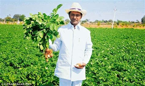 Telangana Fans: KCR at His Farm house-Gajwel