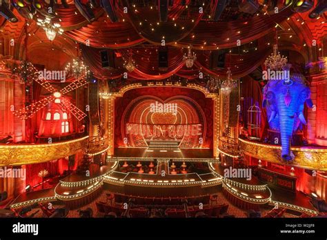 New York, NY, USA. 9th July, 2019. Al Hirschfeld Theatre Photo Call for ...