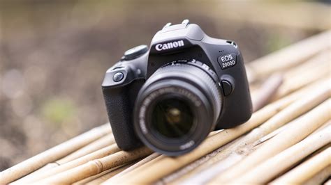 Best beginner DSLRs 2022: top cameras for new photographers | TechRadar