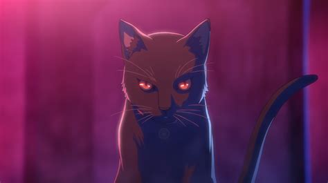 Akudama Drive Cat - 4K Ultra HD Anime Wallpaper