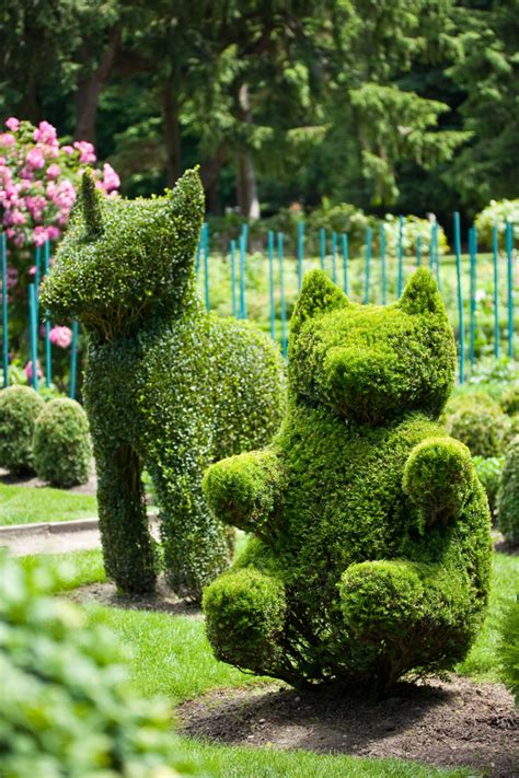 53 Stunning Topiary Trees, Gardens, Plants and Other Shapes