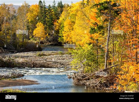 Cape Breton Fall Foliage Canada Stock Photos & Cape Breton Fall Foliage Canada Stock Images - Alamy