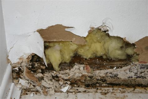 How to Fix Common Home Insulation Problems | Art & Home