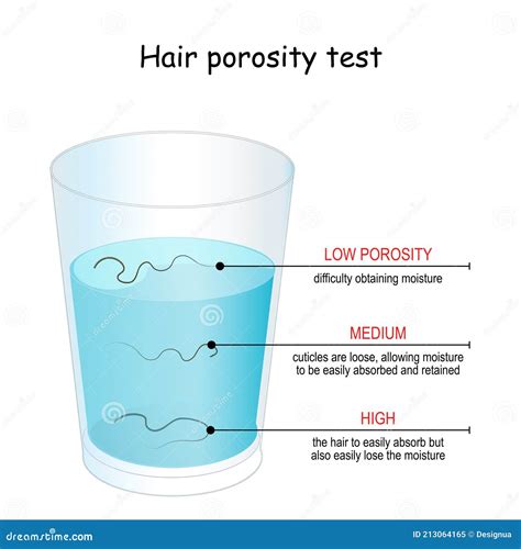 Hair Porosity Test. Hair Float in Glass with Water Stock Vector - Illustration of perfect, shape ...