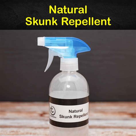 6 Safe & Reliable Skunk Repellent Remedies