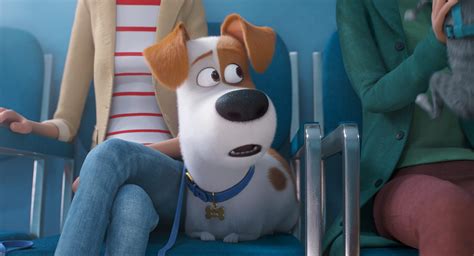 First poster and trailer for The Secret Life of Pets 2