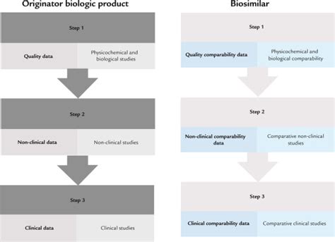 European Medicines Agency (EMA) approval processes for originator and... | Download Scientific ...