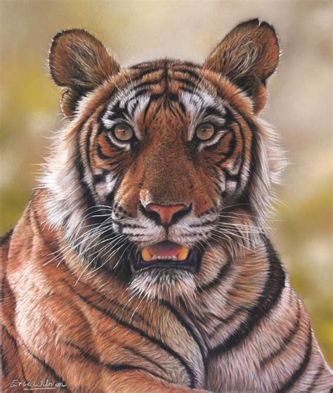 Tiger Paintings | Tiger painting, Tiger artwork, Tiger art